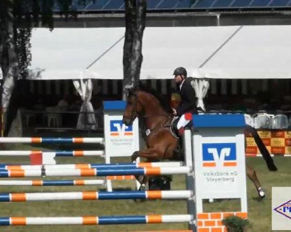 Pfingst-Reitturnier Kreuzkrug-Raddestorf 2012