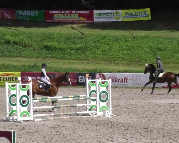 Reitturnier Zeltweg-Farrach 2023