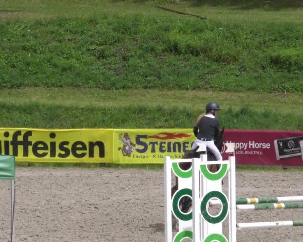 Reitturnier Zeltweg-Farrach 2023