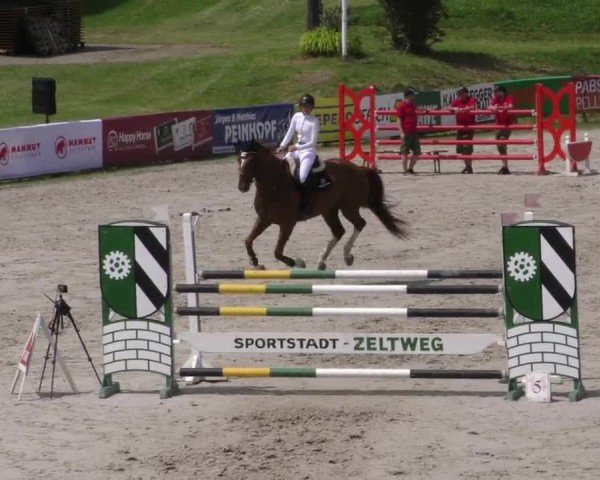 Reitturnier Zeltweg-Farrach 2023