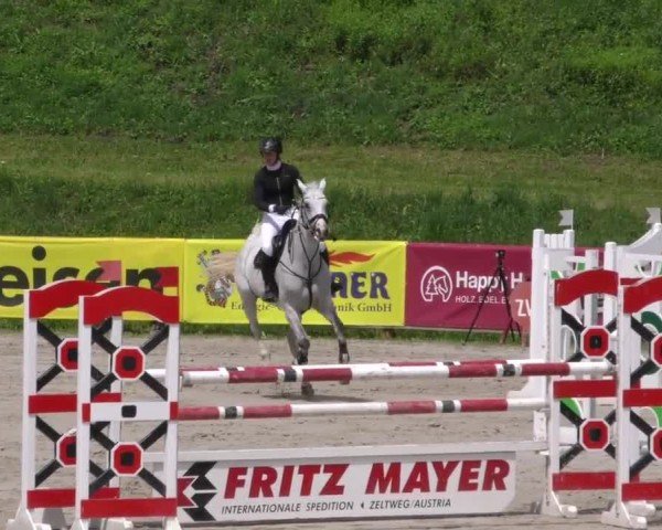 Reitturnier Zeltweg-Farrach 2023