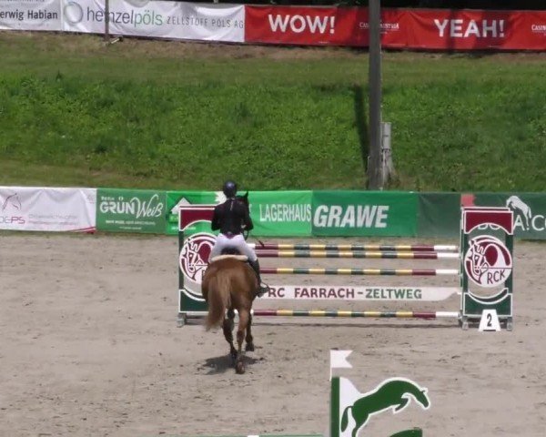 Reitturnier Zeltweg-Farrach 2023