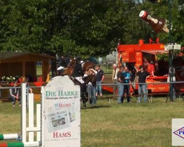 Pfingst-Reitturnier Kreuzkrug-Raddestorf 2012