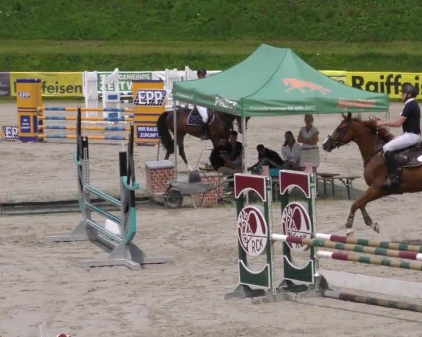 Reitturnier Zeltweg-Farrach 2023