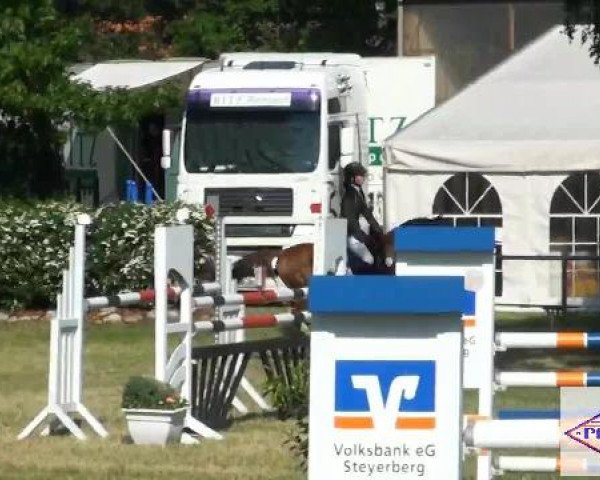 Pfingst-Reitturnier Kreuzkrug-Raddestorf 2012