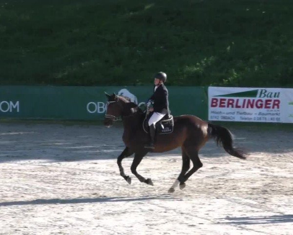 Reitturnier Zeltweg-Farrach 2023