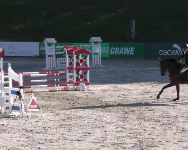Reitturnier Zeltweg-Farrach 2023