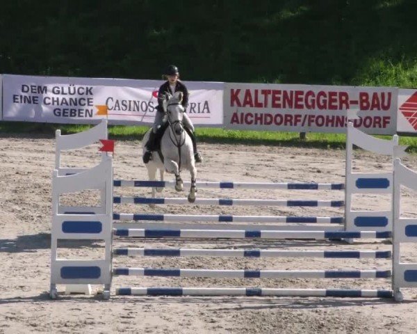 Reitturnier Zeltweg-Farrach 2023