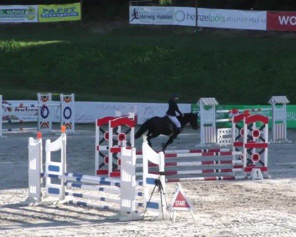 Reitturnier Zeltweg-Farrach 2023