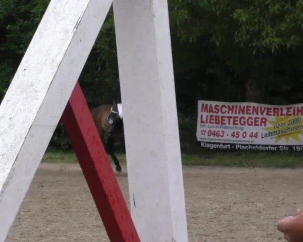 Reitturnier Klagenfurt 2023