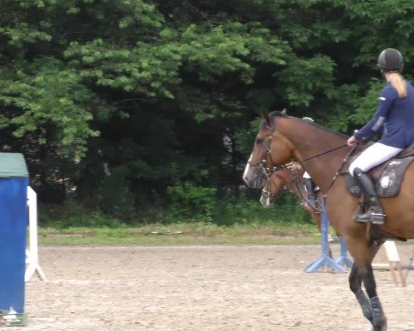 Reitturnier Klagenfurt 2023