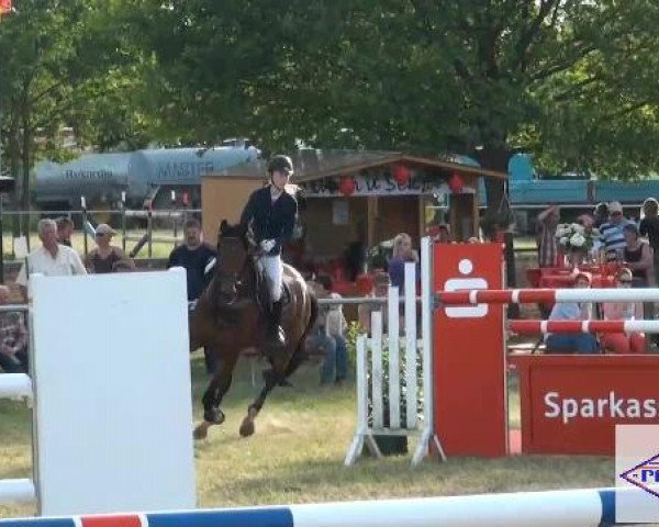 Pfingst-Reitturnier Kreuzkrug-Raddestorf 2012