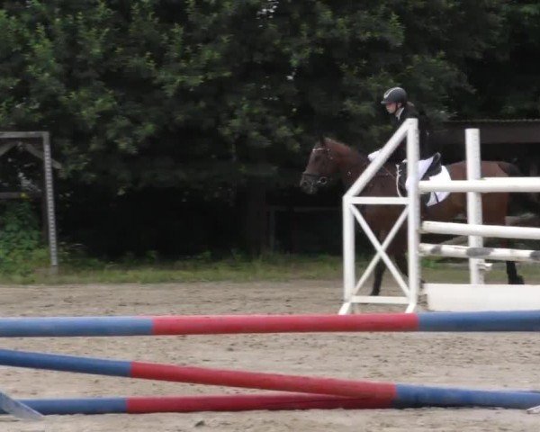 Reitturnier Klagenfurt 2023