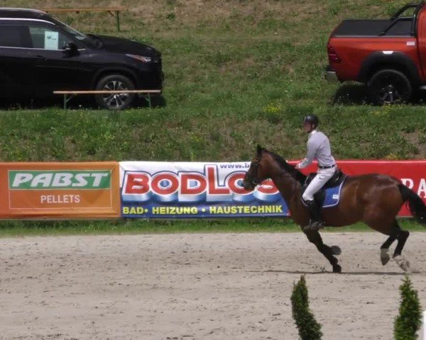 Reitturnier Zeltweg-Farrach 2022