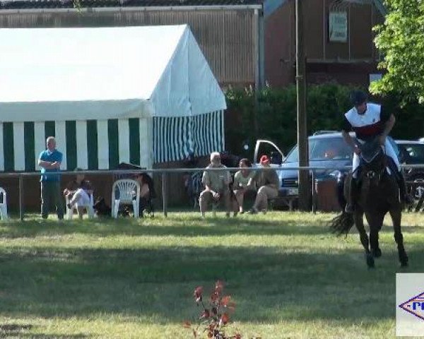 Pfingst-Reitturnier Kreuzkrug-Raddestorf 2012