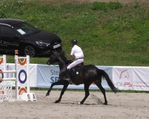 Reitturnier Zeltweg-Farrach 2022
