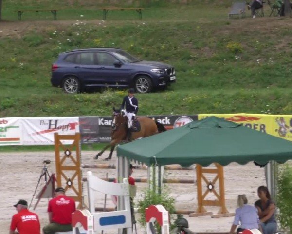 Reitturnier Zeltweg-Farrach 2022