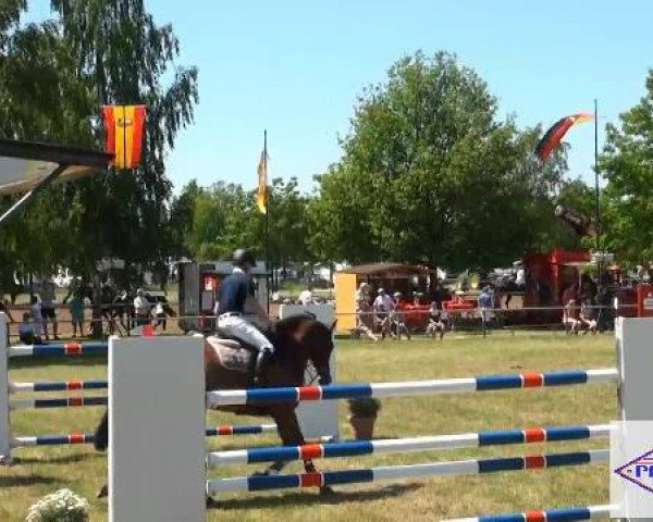 Pfingst-Reitturnier Kreuzkrug-Raddestorf 2012