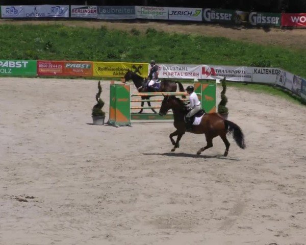 Reitturnier Zeltweg-Farrach 2022
