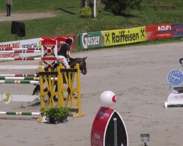Reitturnier Zeltweg-Farrach 2022