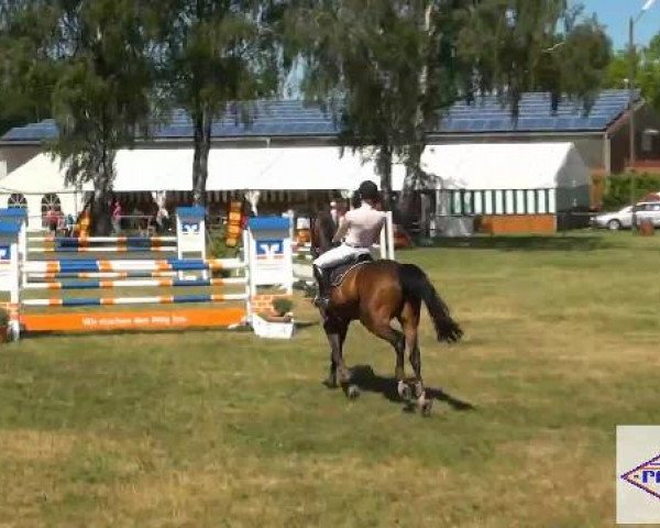 Pfingst-Reitturnier Kreuzkrug-Raddestorf 2012