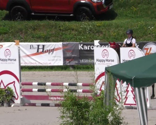 Reitturnier Zeltweg-Farrach 2022
