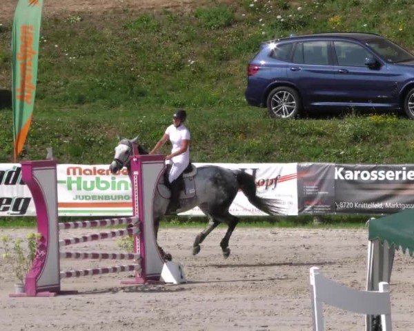 Reitturnier Zeltweg-Farrach 2022