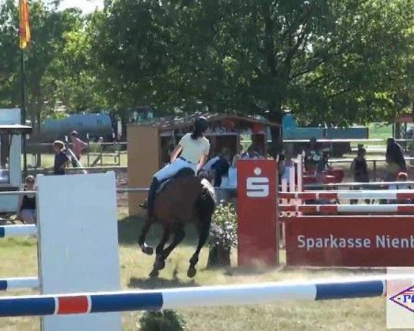 Pfingst-Reitturnier Kreuzkrug-Raddestorf 2012