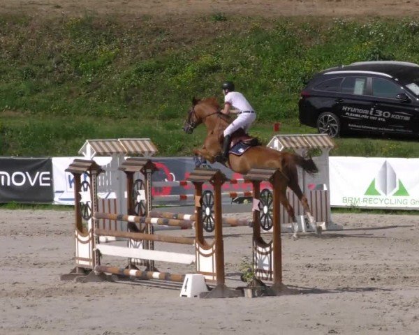 Reitturnier Zeltweg-Farrach 2022