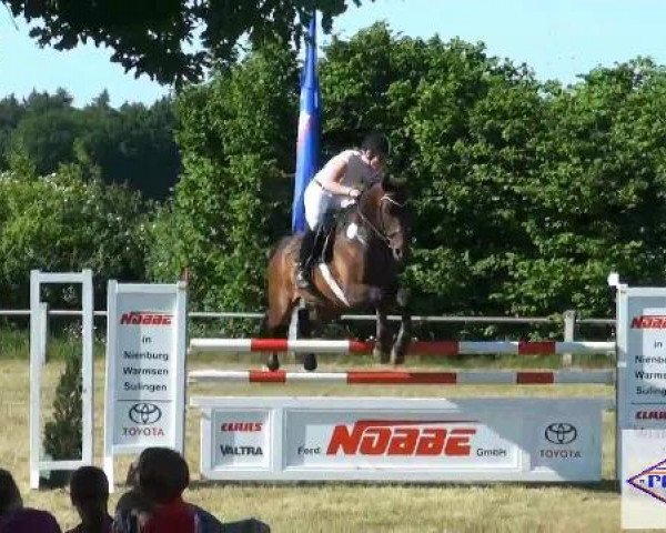 Pfingst-Reitturnier Kreuzkrug-Raddestorf 2012