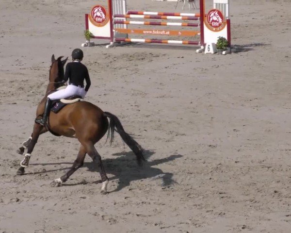 Reitturnier Zeltweg-Farrach 2022