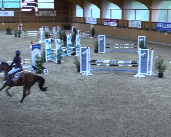 Ponyturnier Xanten - Reitanlage Miss 2021
