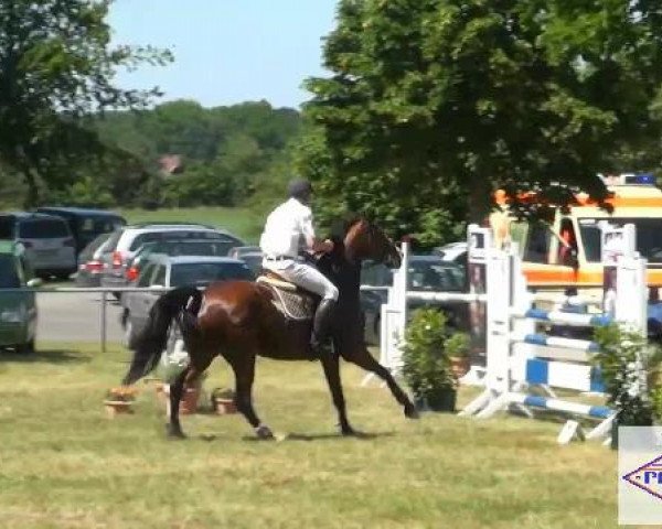 Pfingst-Reitturnier Kreuzkrug-Raddestorf 2012