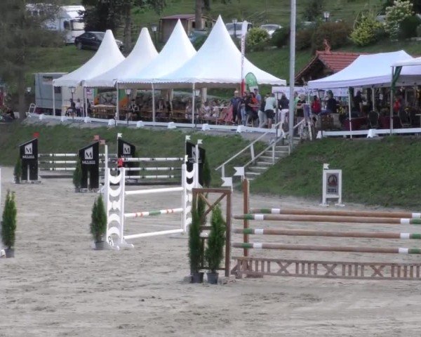Reitturnier Preding 2022
