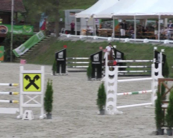Reitturnier Preding 2022