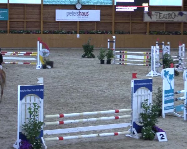 Ponyturnier Xanten - Reitanlage Miss 2021