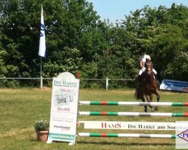 Pfingst-Reitturnier Kreuzkrug-Raddestorf 2012