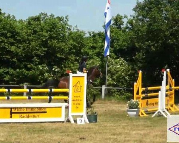 Pfingst-Reitturnier Kreuzkrug-Raddestorf 2012