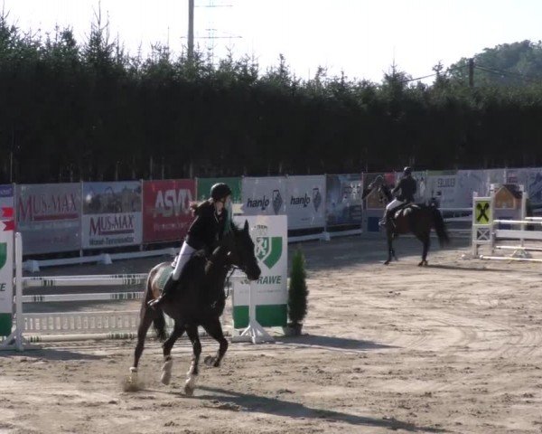 Reitturnier Preding 2022