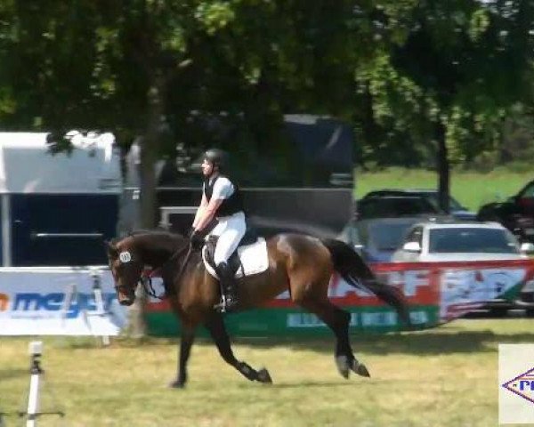 Pfingst-Reitturnier Kreuzkrug-Raddestorf 2012