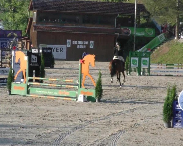 Reitturnier Preding 2022