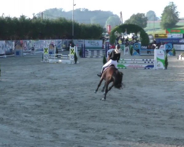 Reitturnier Preding 2022