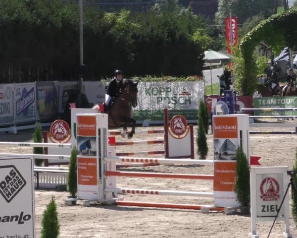 Reitturnier Preding 2022