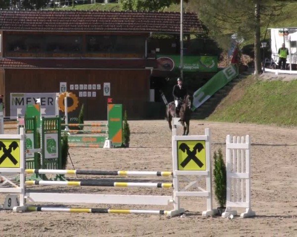 Reitturnier Preding 2022
