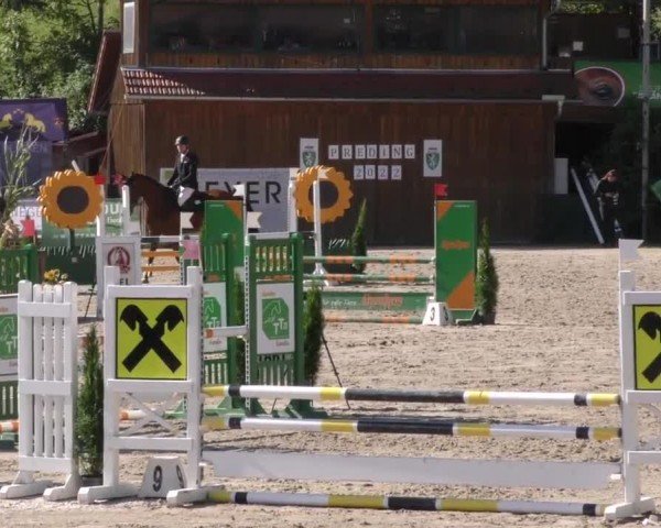 Reitturnier Preding 2022