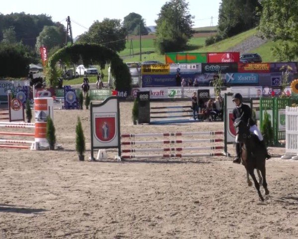 Reitturnier Preding 2022