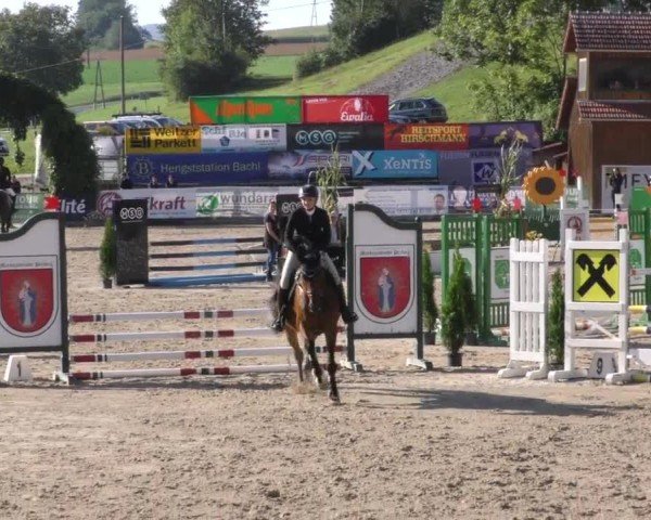 Reitturnier Preding 2022