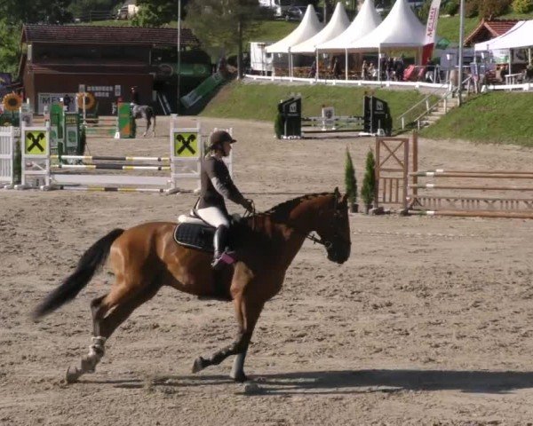 Reitturnier Preding 2022