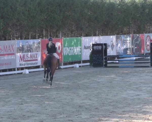 Reitturnier Preding 2022