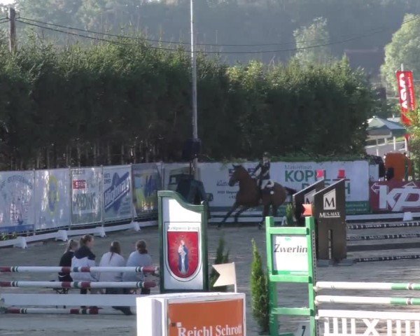 Reitturnier Preding 2022